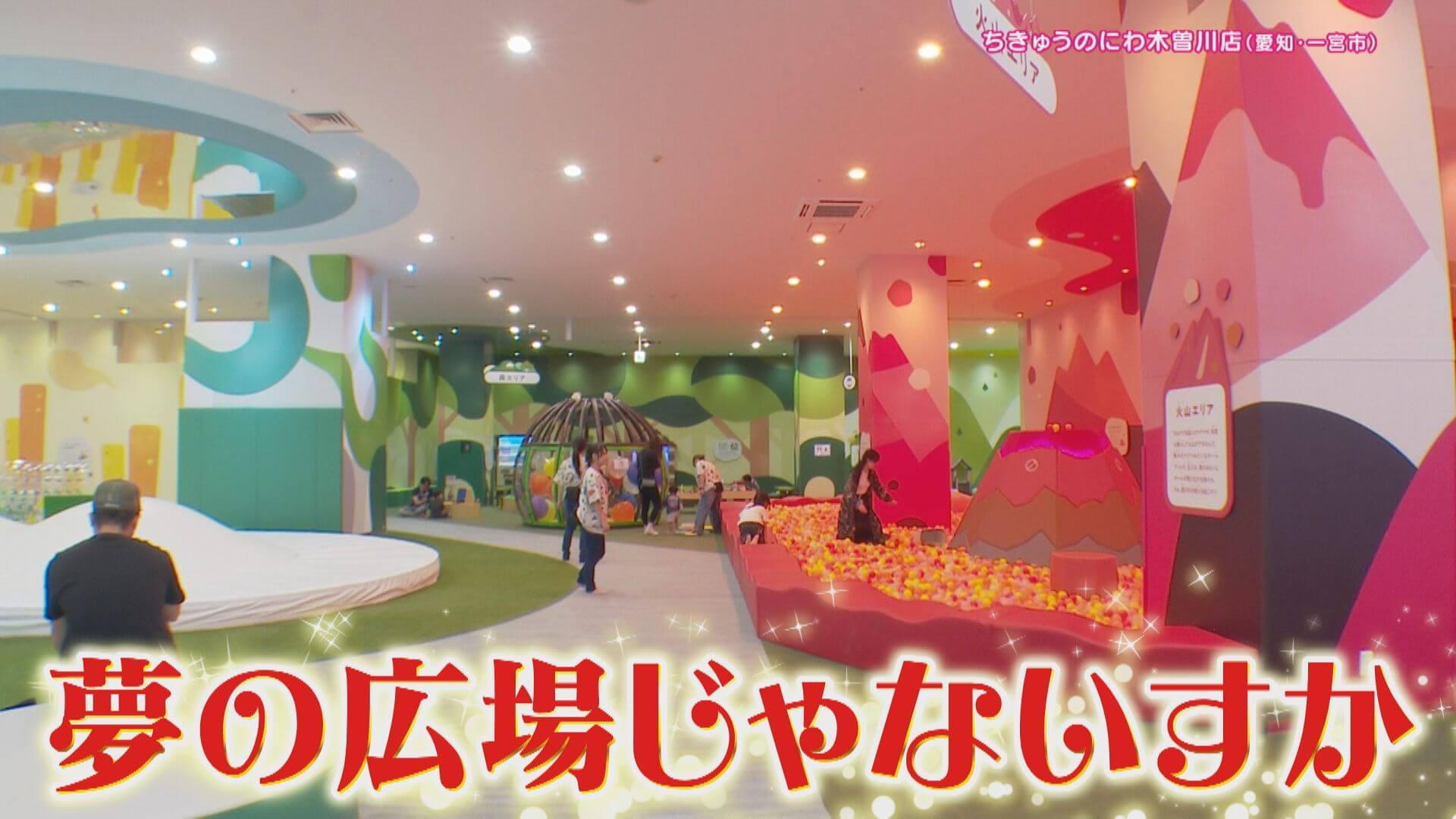 CBC TV "Hanasaka Times"