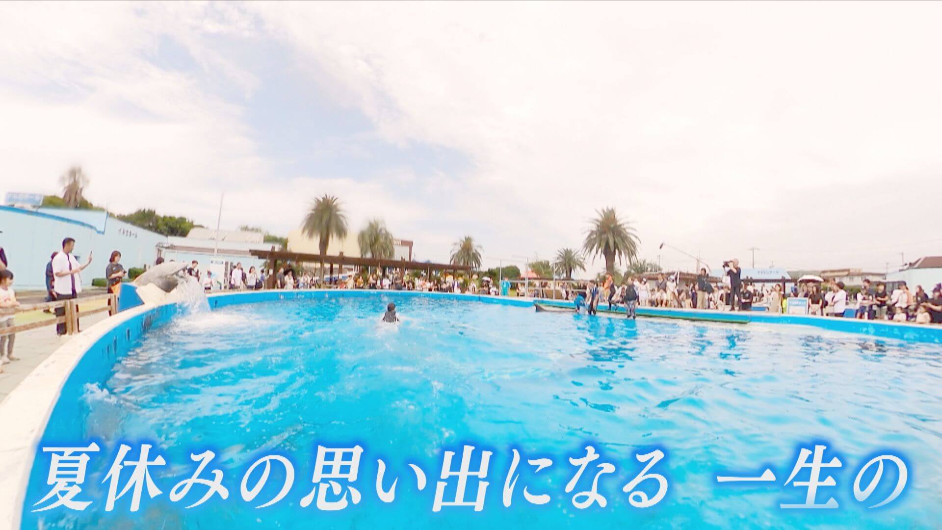 CBC TV "Hanasaka Times"