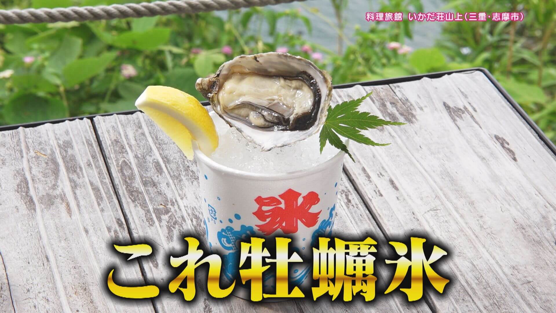 CBC TV "Hanasaka Times"