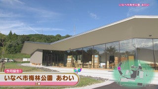 IInabe Plum Park Reborn: Enjoy Scenic Lodging, Hands-On Activities & Local Foods